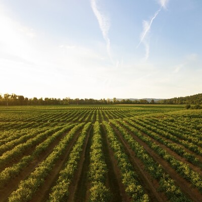 Přihlaste se do programu TEST FARMS na podporu podnikání v zemědělství!